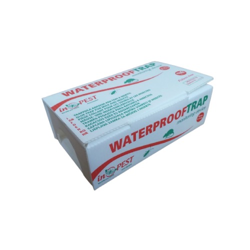 Capcana Plastic WaterproofTrap Utilizata Pentru Monitorizarea Soarecilor Si A Insectelor Taratoare, Fara Lipici